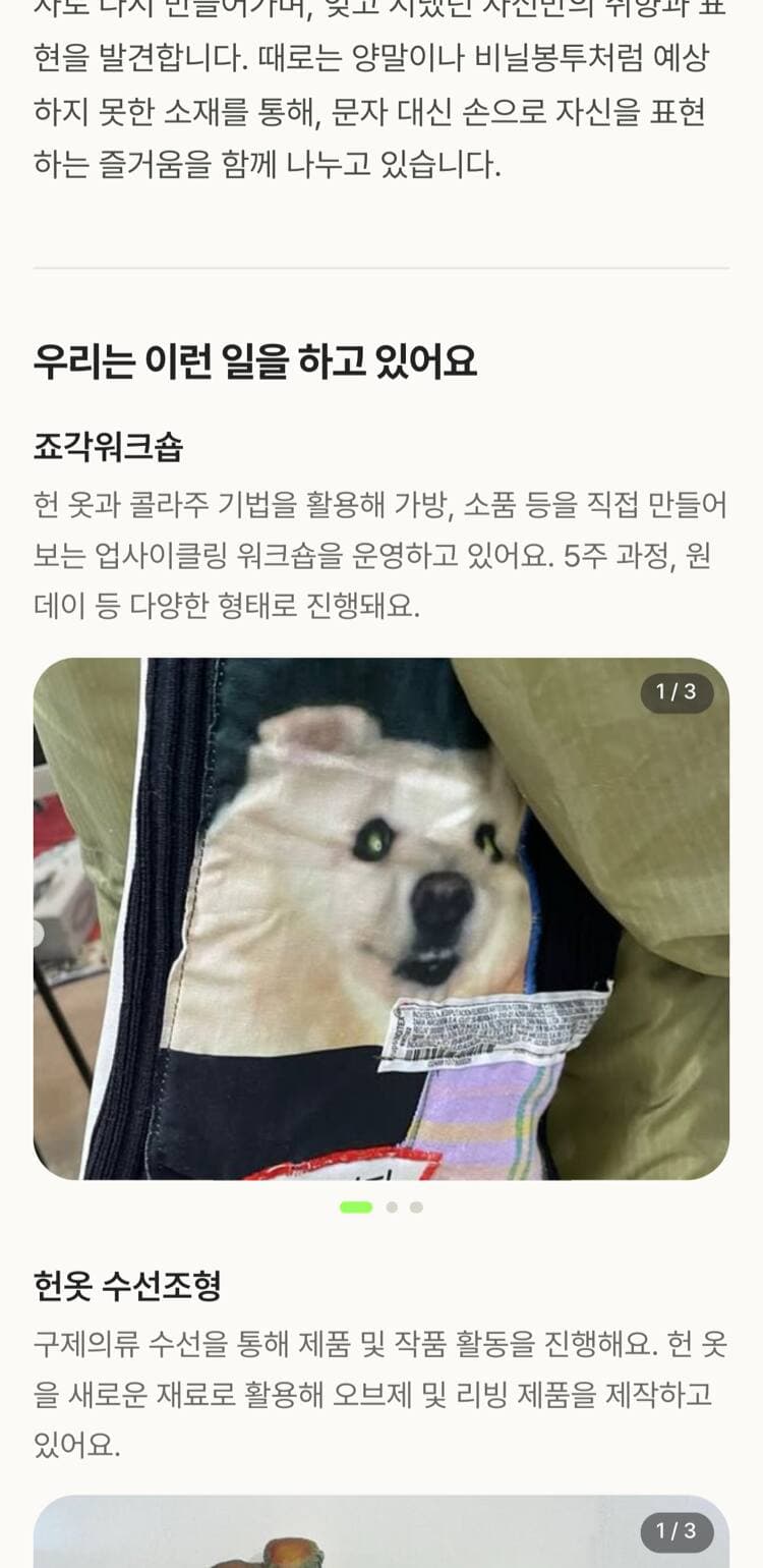 사진까지 첨부한 소개서 — 활동 소개와 사진